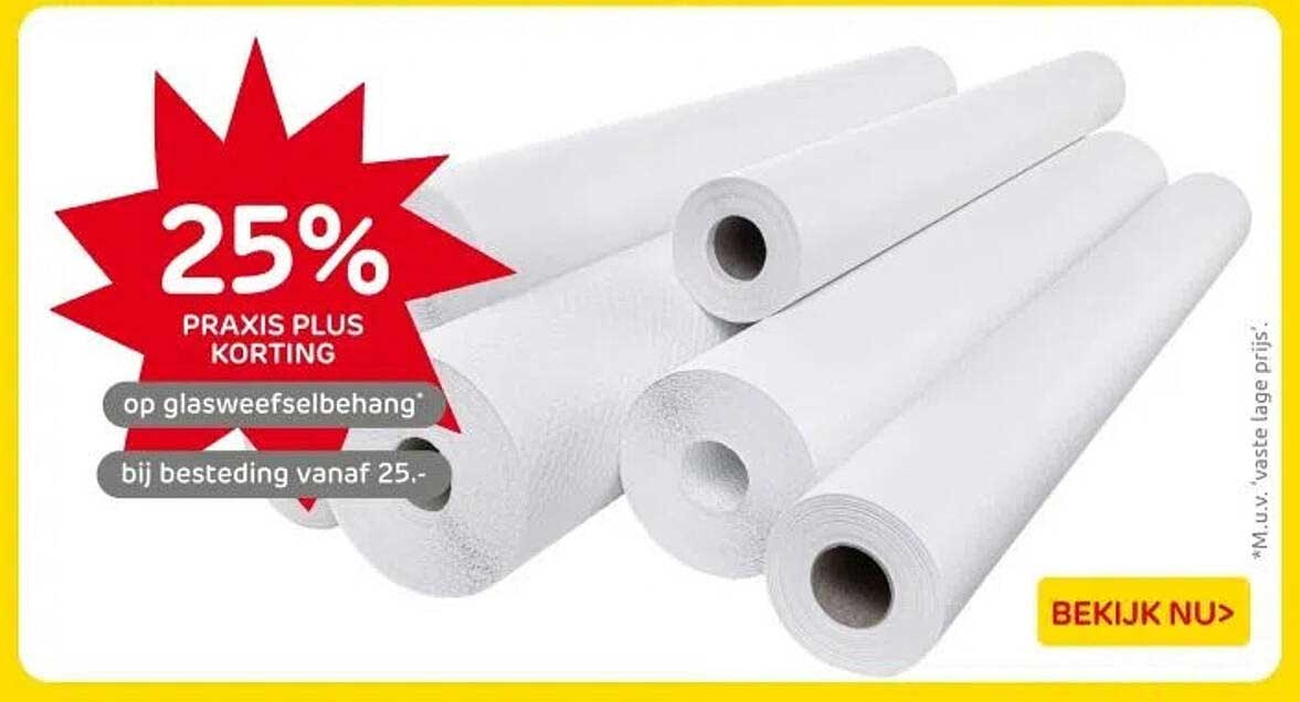 25% PRAKIS PLUS KORTING op glasweefselbehang bij besteding vanaf 25.-