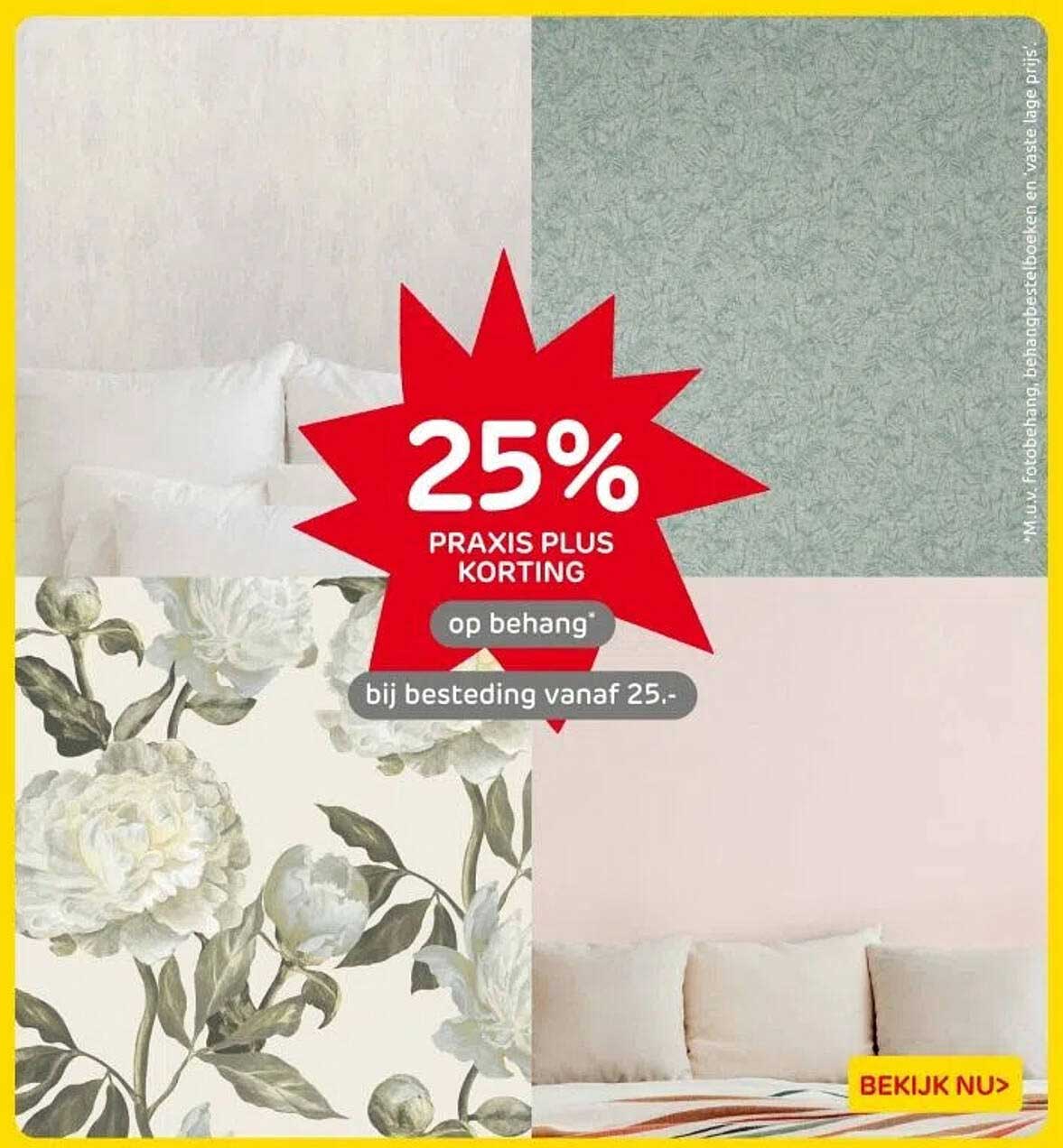 25% PRAXIS PLUS KORTING op behang bij besteding vanaf 25.-