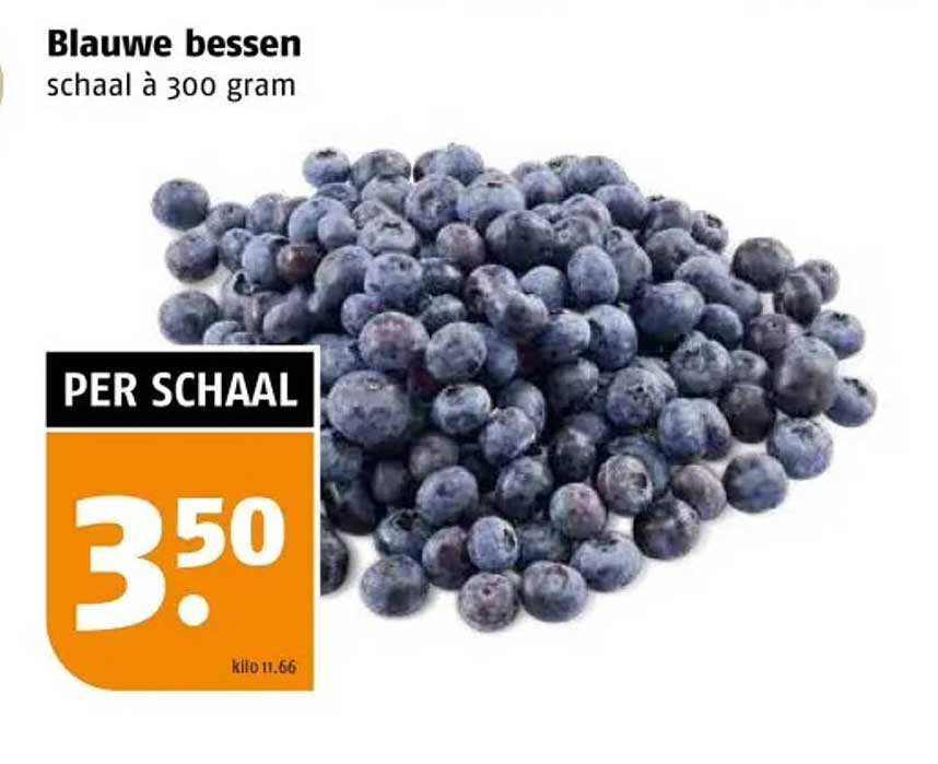 Blauwe bessen schaal à 300 gram