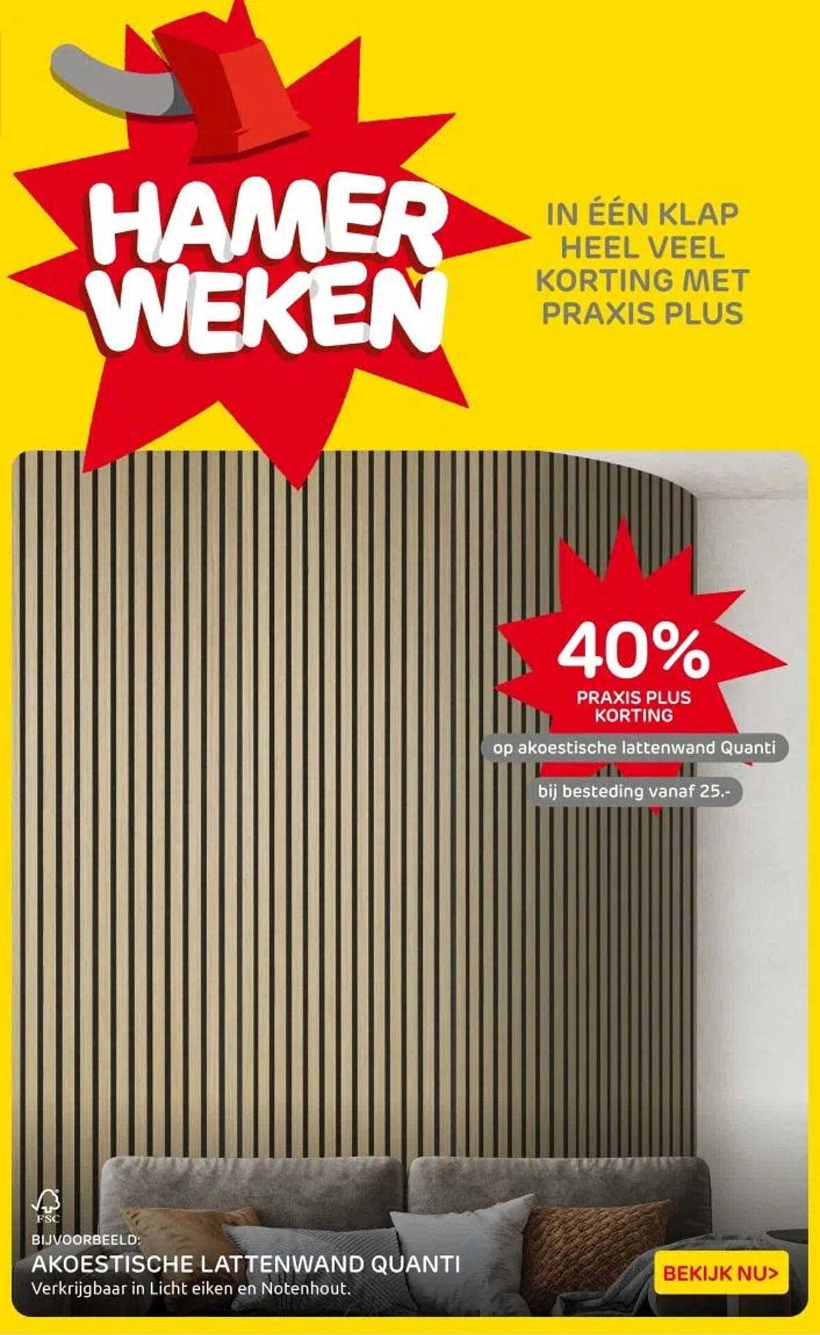 Hamerweken 40% PRAKIS PLUS korting op akoestische lattenwand Quanti bij besteding vanaf 25.
