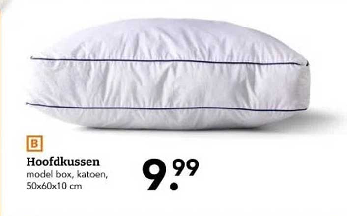 Hoofdkussen