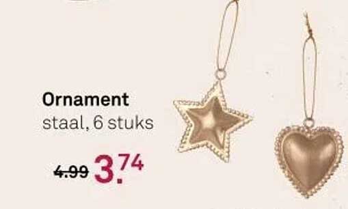 Ornament staal, 6 stuks