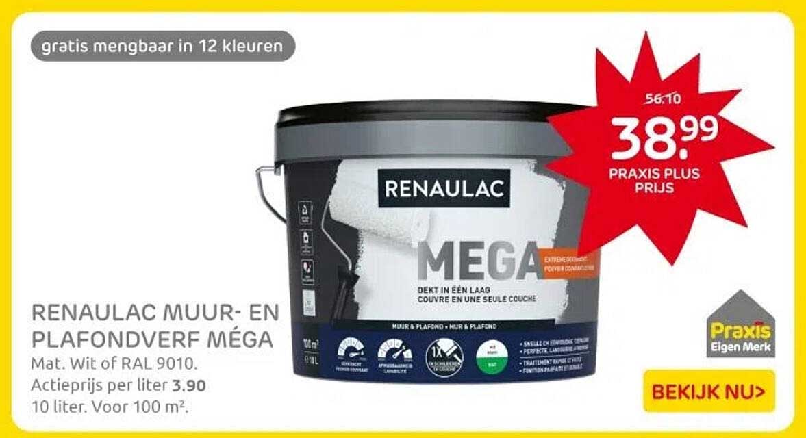 RENAULAC MUUR- EN PLAFONDVERF MÉGA