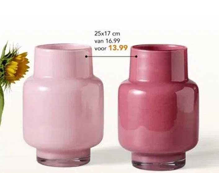 Vaas 25x17 cm van 16.99 voor 13.99