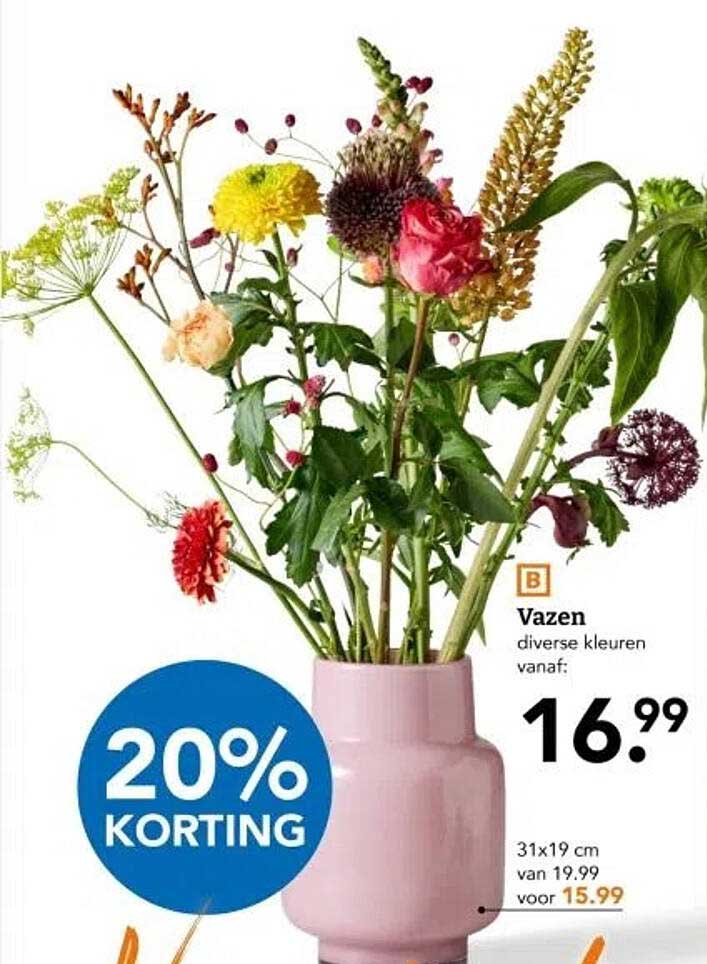 Vazen diverse kleuren vanaf: 16,99