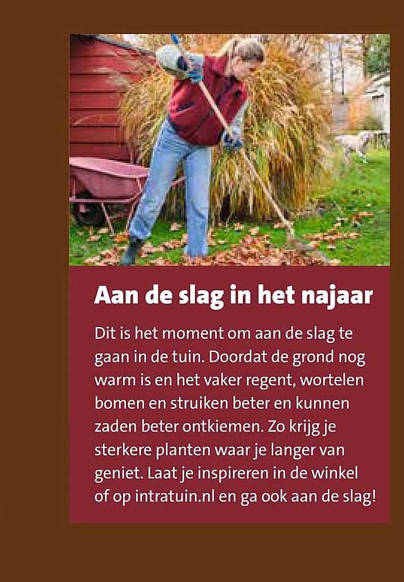 Aan de slag in het najaar