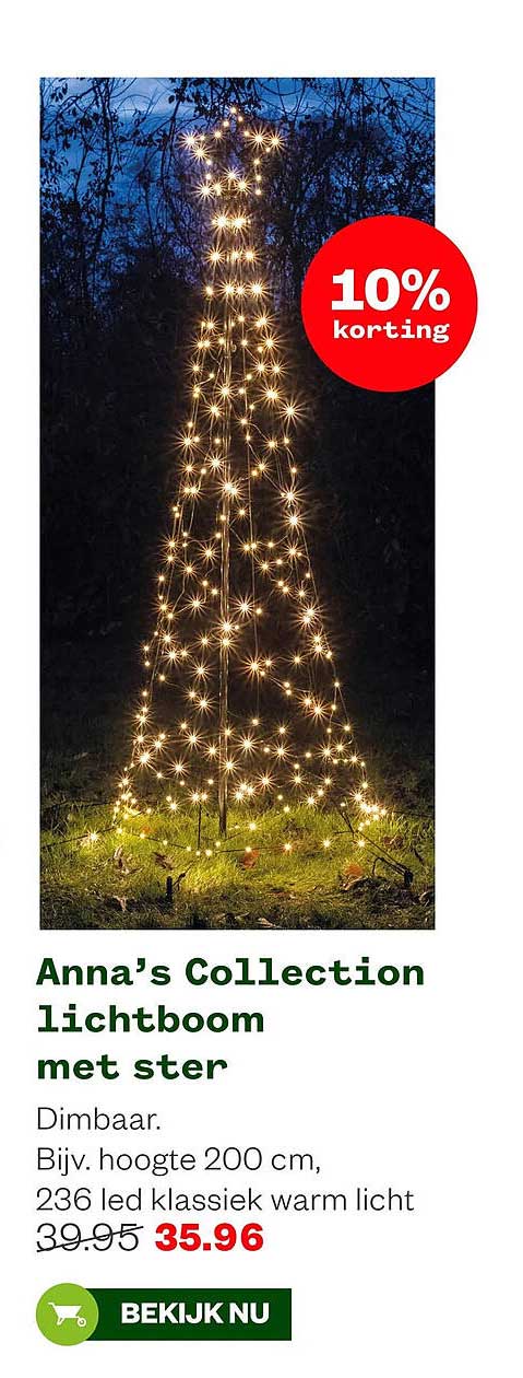 Anna’s Collection lichtboom met ster