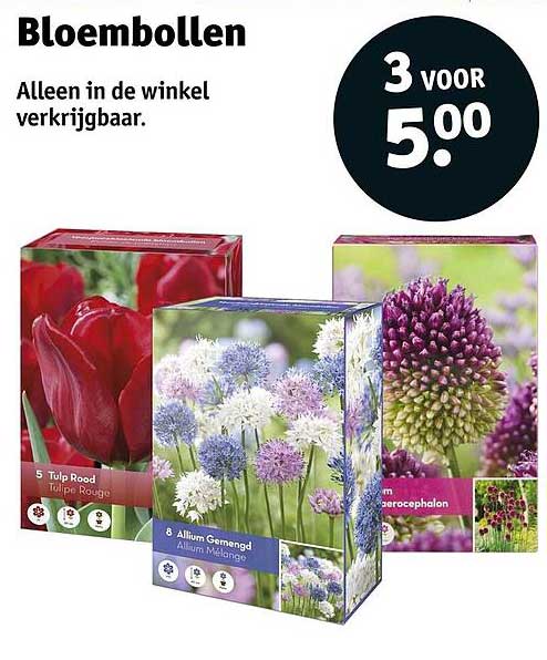 Bloembollen 3 voor 5.00