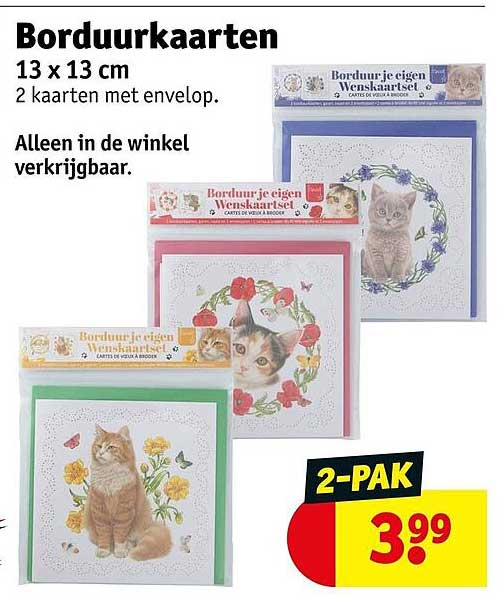 Borduurkaarten 13 x 13 cm 2 kaarten met envelop. Alleen in de winkel verkrijgbaar. 2-PAK