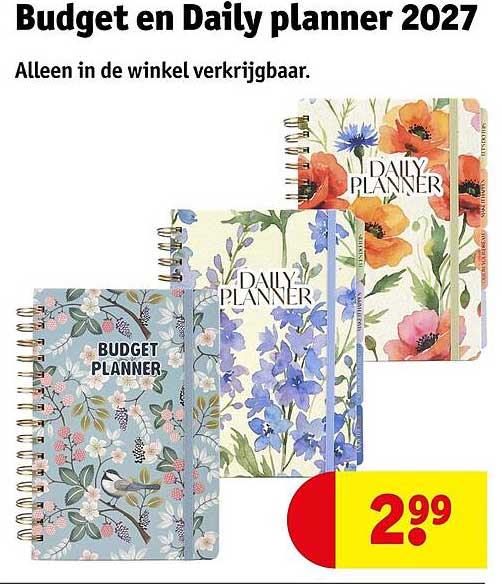 Budget en Daily planner 2027
