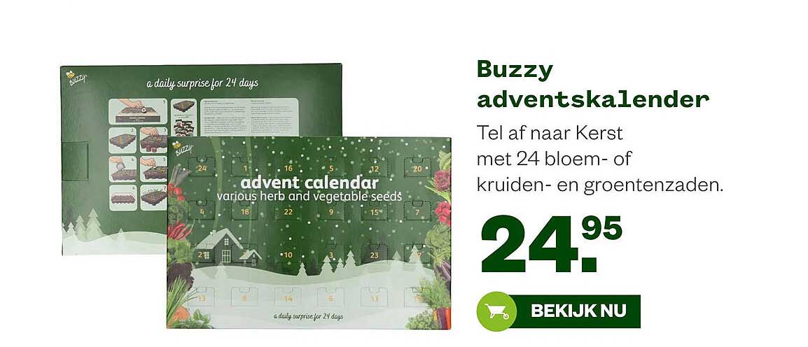 Buzzy adventskalender