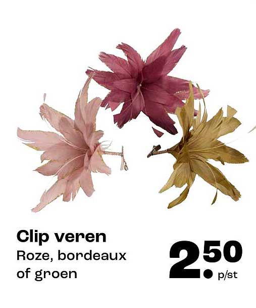 Clip veren Roze, bordeaux of groen