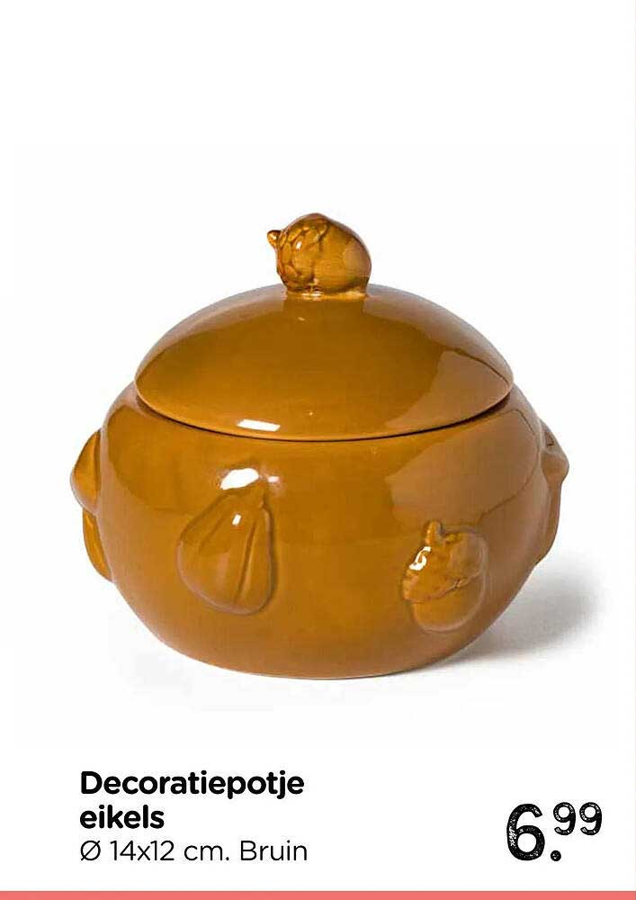 Decoratiepotje eikels