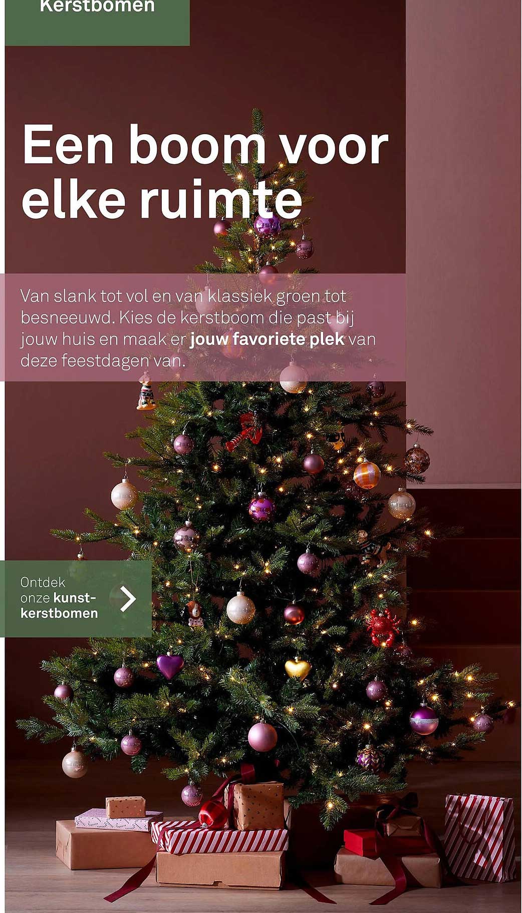 Een boom voor elke ruimte