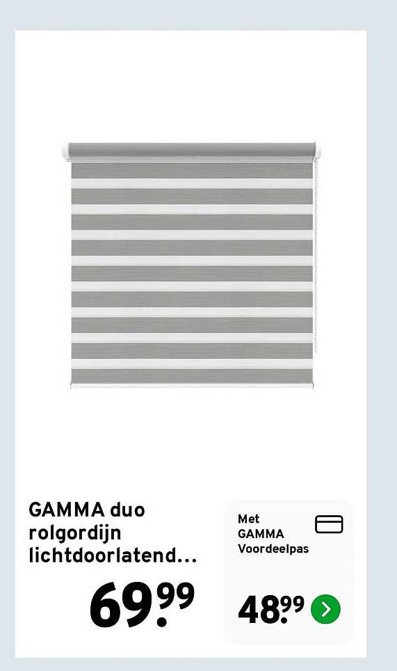 GAMMA duo rolgordijn lichtdoorlatend...