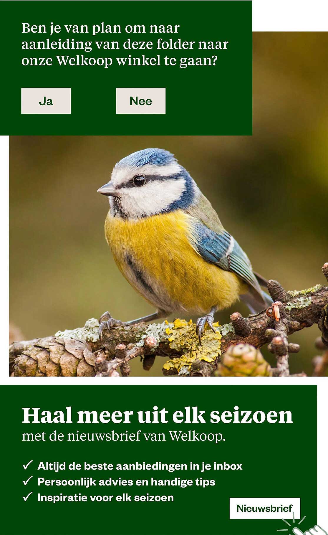 Haal meer uit elk seizoen met de nieuwsbrief van Welkoop.