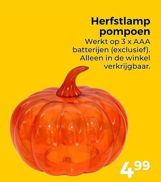 Herfslamp pompoen