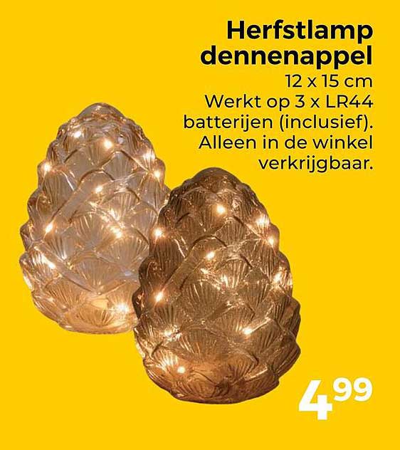 Herfstlamp dennenappel