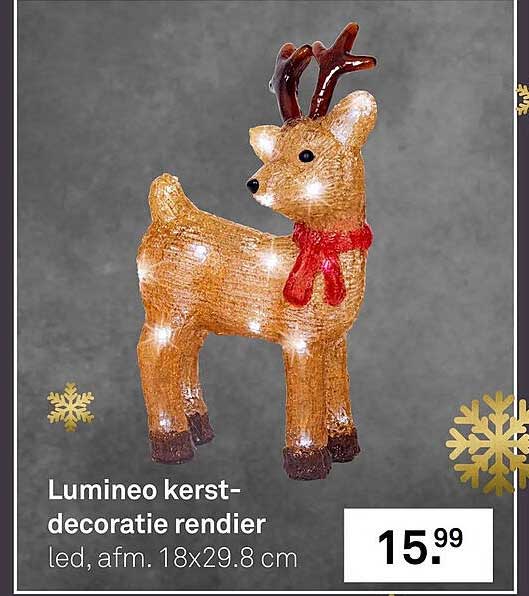 Lumineo kerst-decoratie rendier