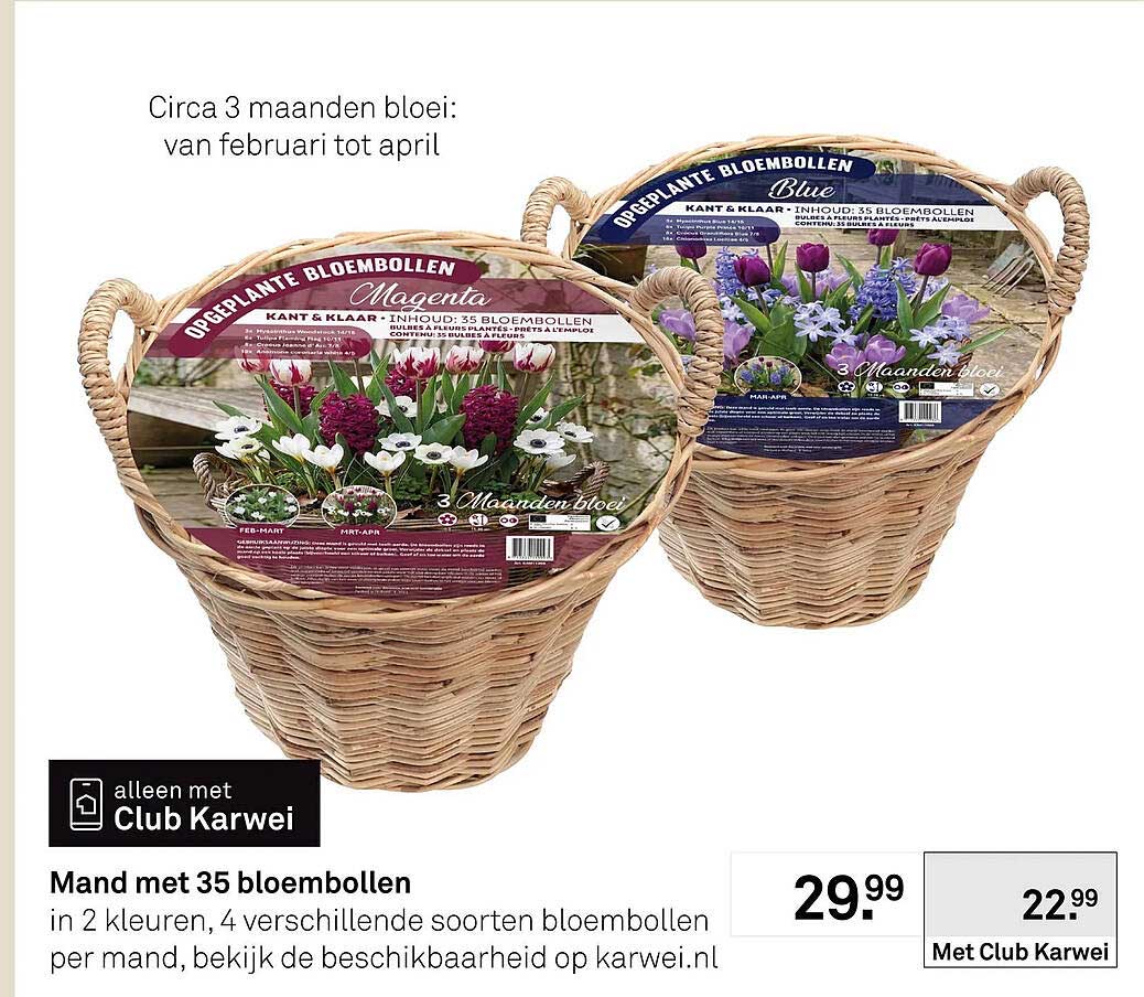 Mand met 35 bloembollen