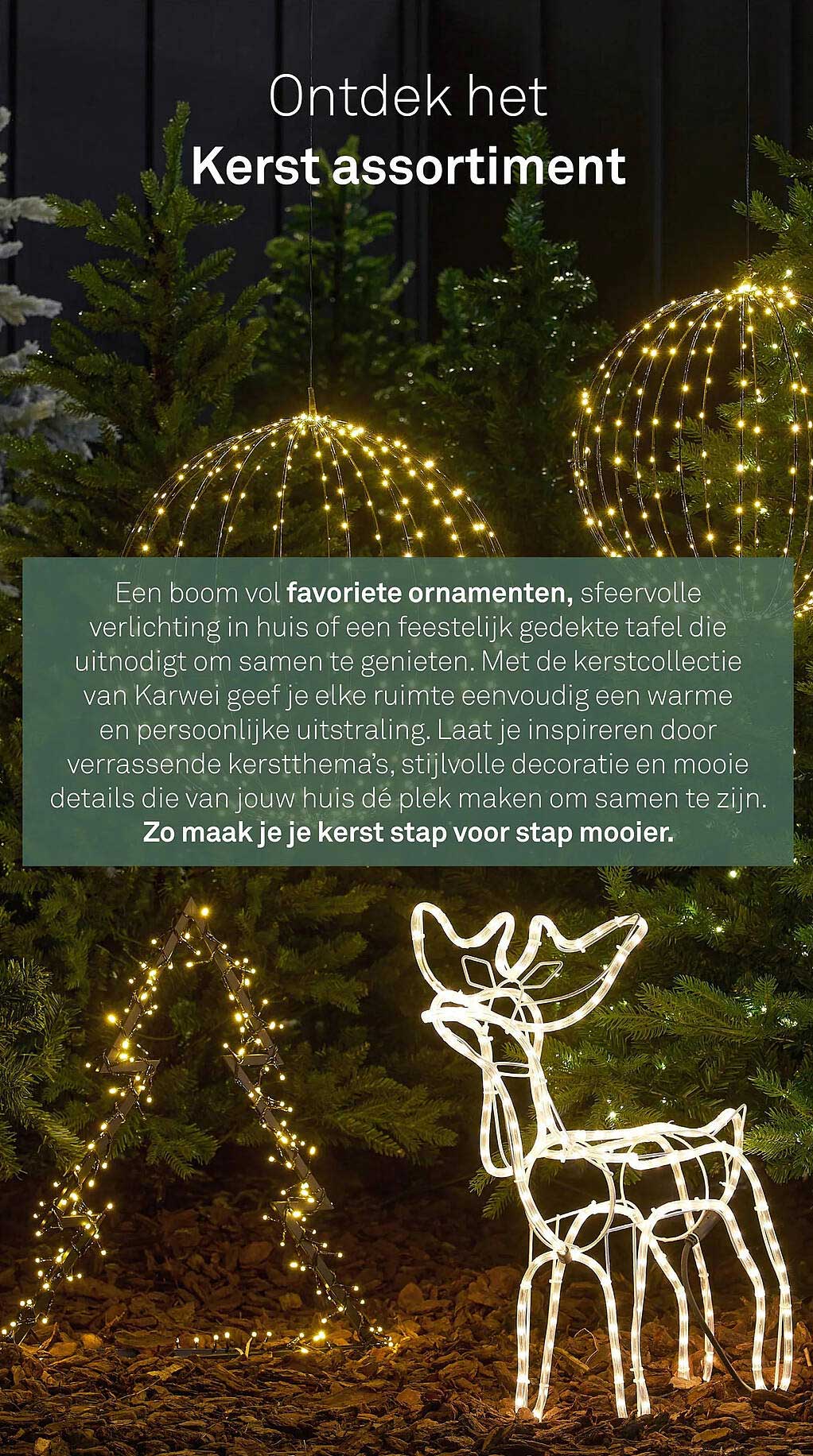 Ontdek het Kerst assortiment