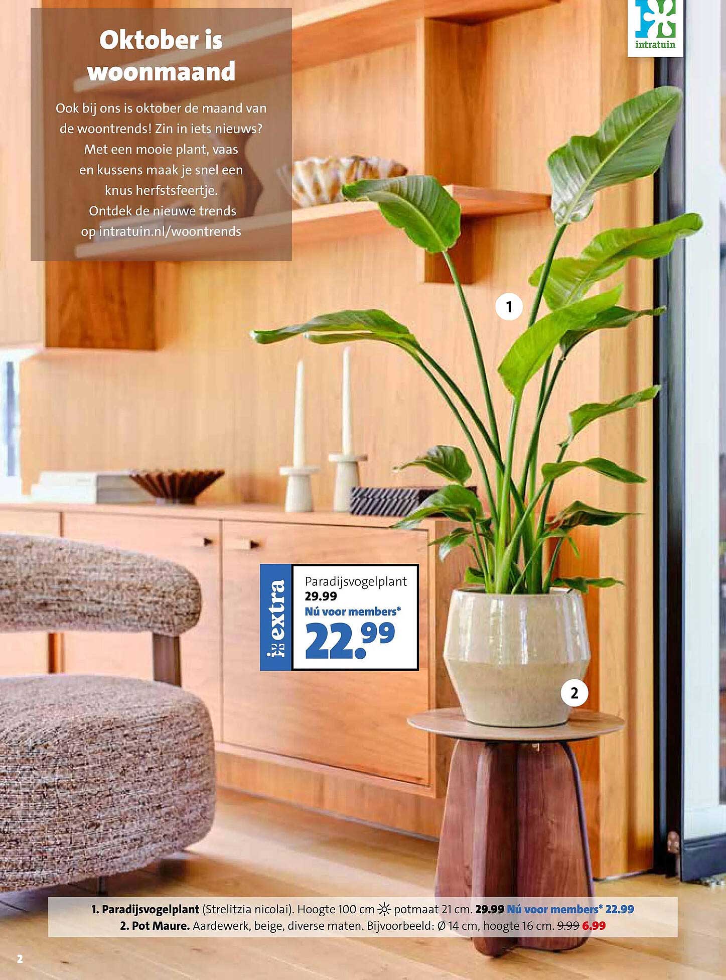 Paradijsvogelplant
