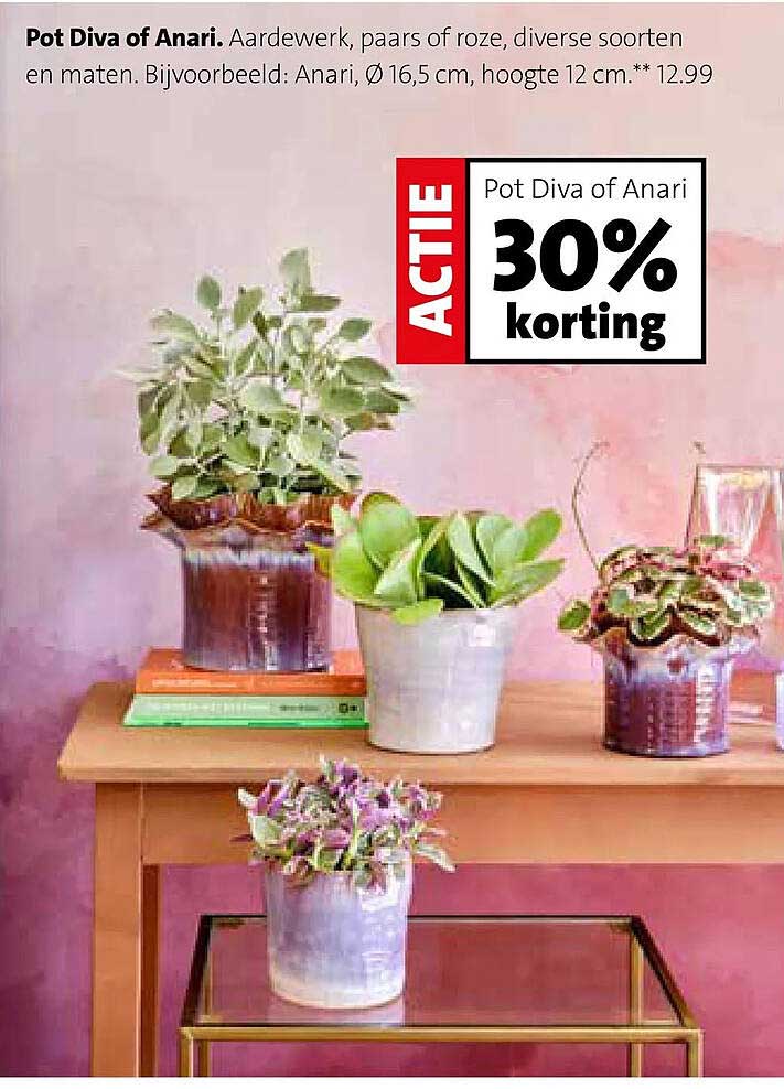 Pot Diva of Anari 30% korting