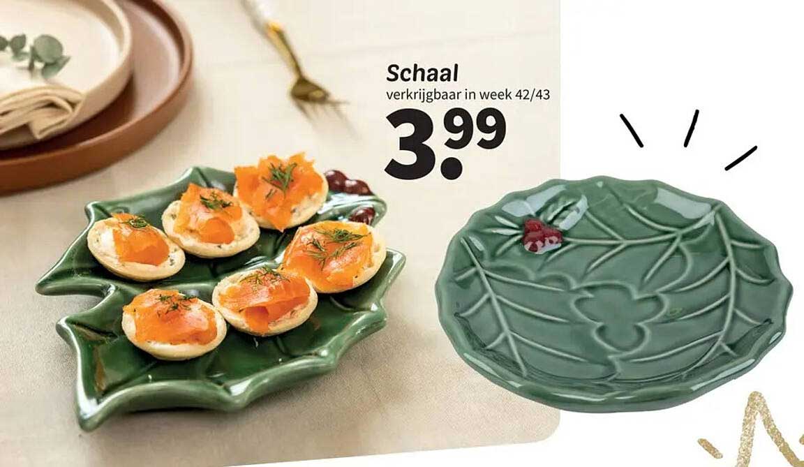 Schaal verkrijgbaar in week 42/43