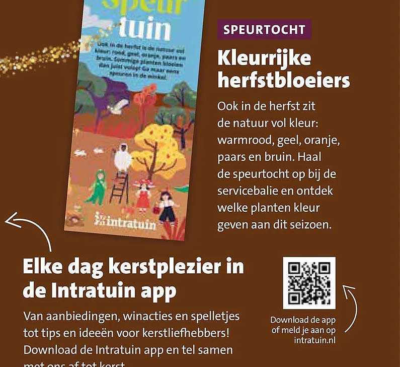 SPEURTOCHT Kleurrijke herfstbloeiers