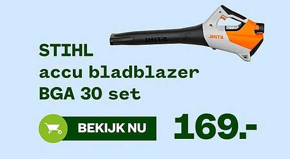 STIHL accu bladblazer BGA 30 set