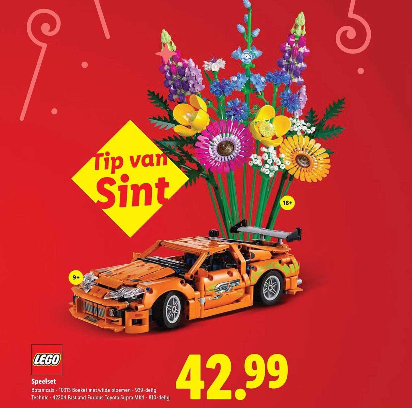 Tip van Sint