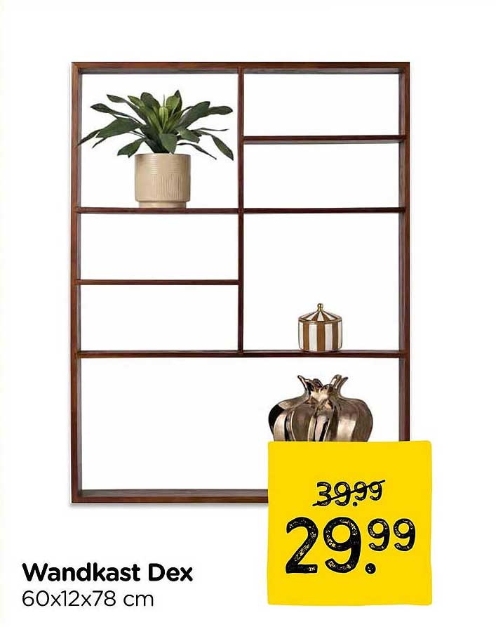Wandkast Dex 60x12x78 cm
