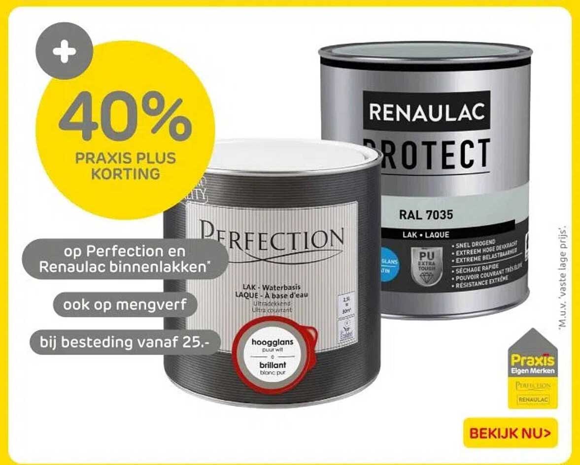 40% PRAKTIJK PLUS KORTING op Perfection en Renau lac binnenlakken
