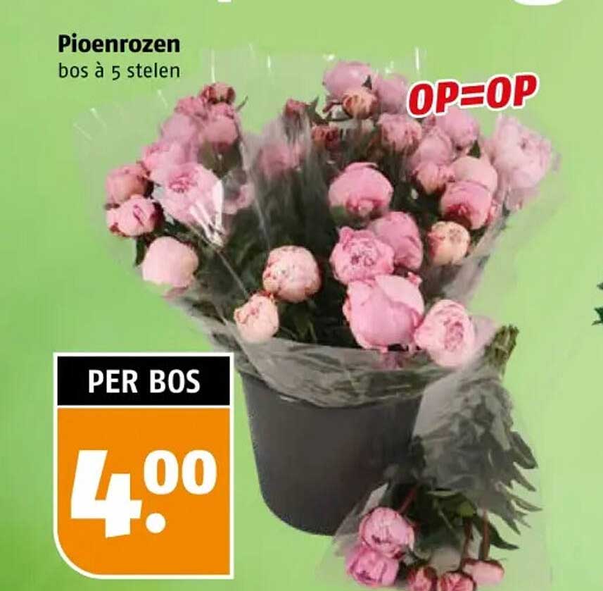 Pioenrozen bos à 5 stelen