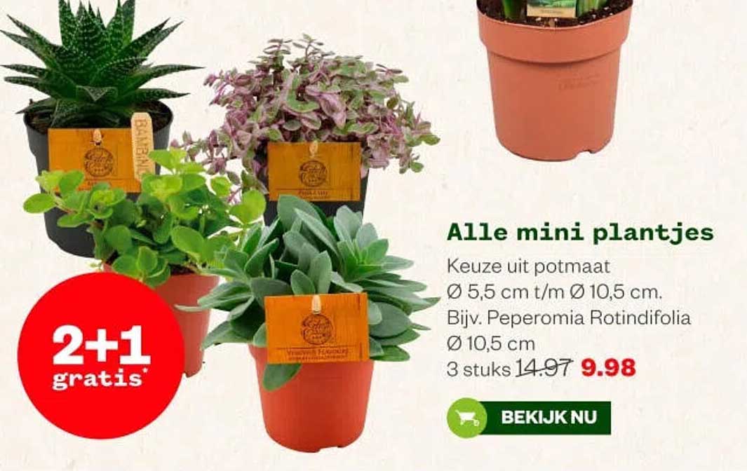 Alle mini plantjes 2+1 gratis