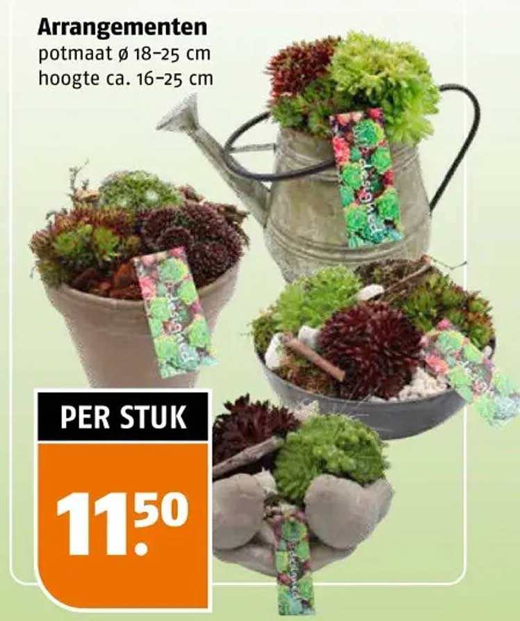 Arrangementen potmaat ø 18–25 cm hoogte ca. 16–25 cm PER STUK