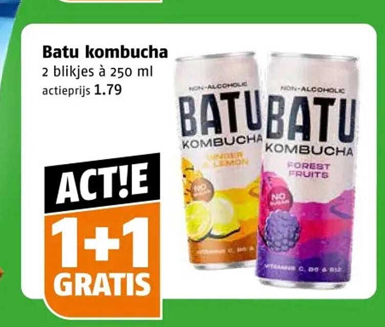 Batu kombucha 2 blikjes à 250 ml 1+1 gratis