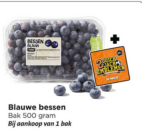 Blauwe bessen Bak 500 gram Bij aankoop van 1 bak