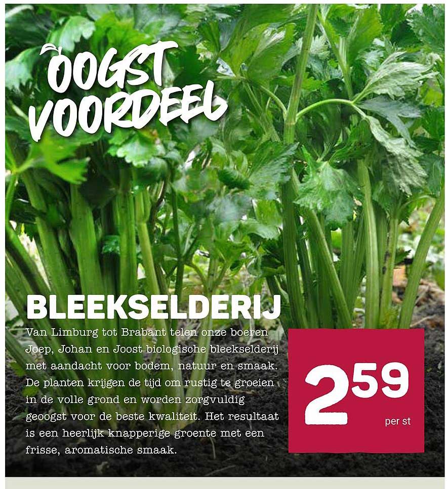 BLEEKSELERIJ