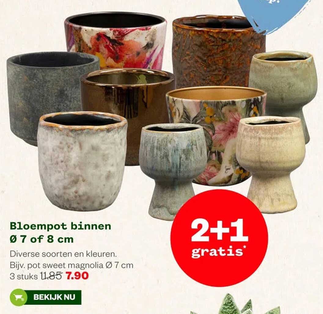 Bloempot binnen Ø 7 of 8 cm 2+1 gratis