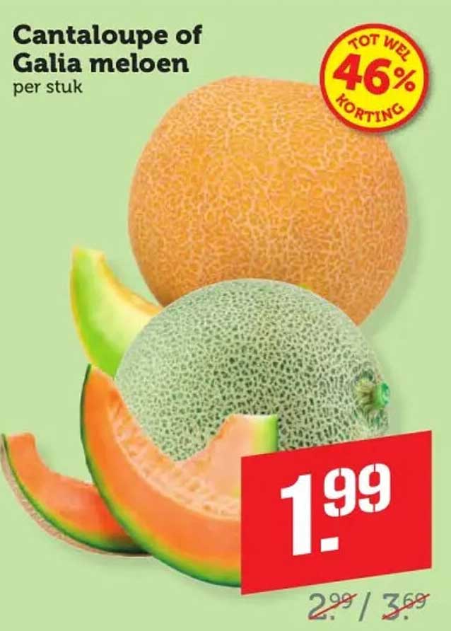 Cantaloupe of Galia meloen per stuk