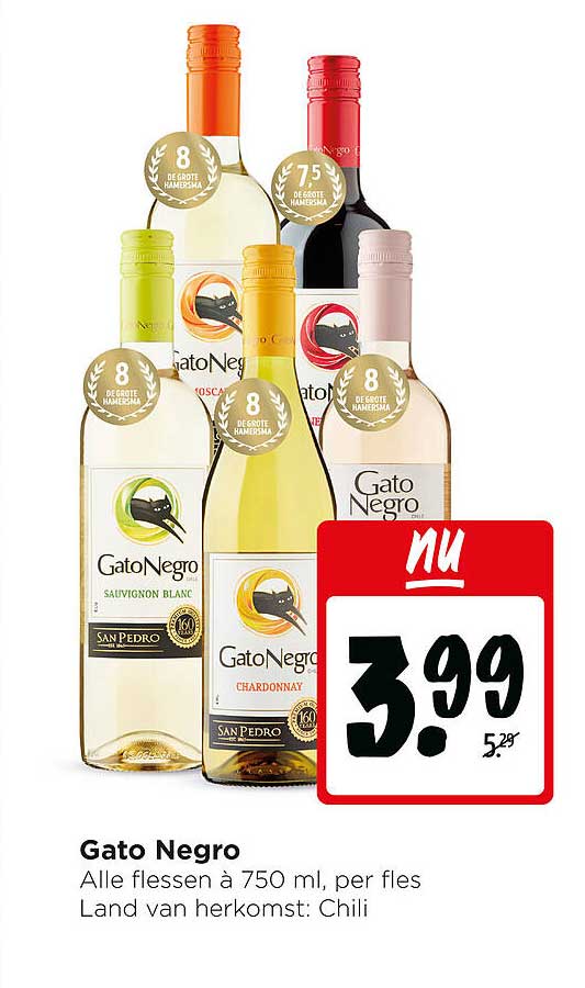 Gato Negro