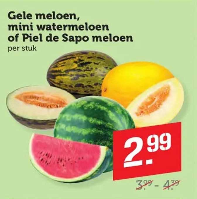 Gele meloen, mini watermeloen of Piel de Sapo meloen per stuk