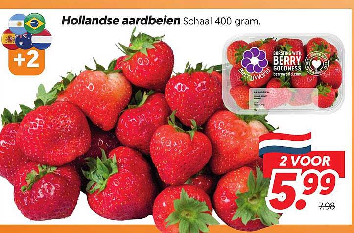 Hollandse aardbeien Schaal 400 gram. 2 VOOR