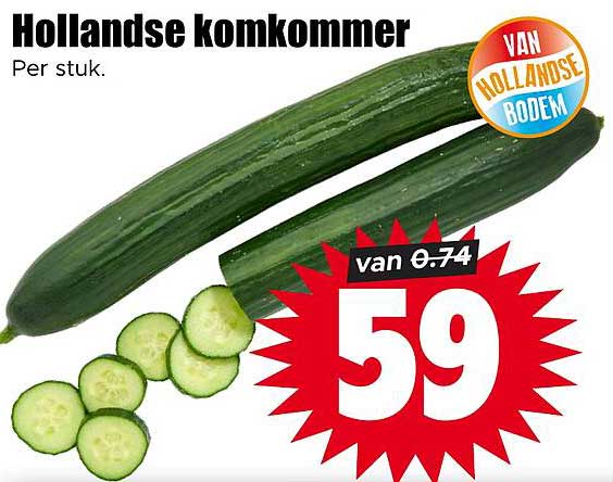 Hollandse komkommer