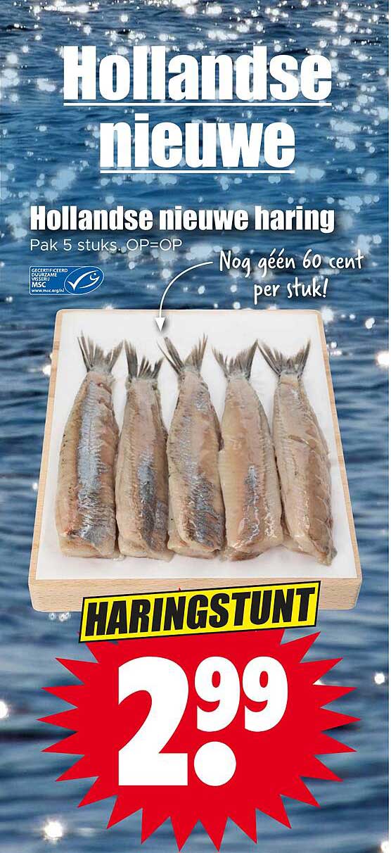 Hollandse nieuwe haring