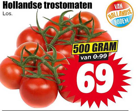 Hollandse trostomaten Los. 500 GRAM van 0.99