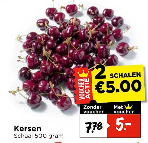 Kersen Schaal 500 gram 2 SCHALEN