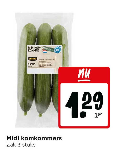 Midi komkommers Zak 3 stuks