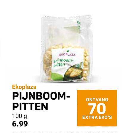 PIJNBOOM-PITTEN